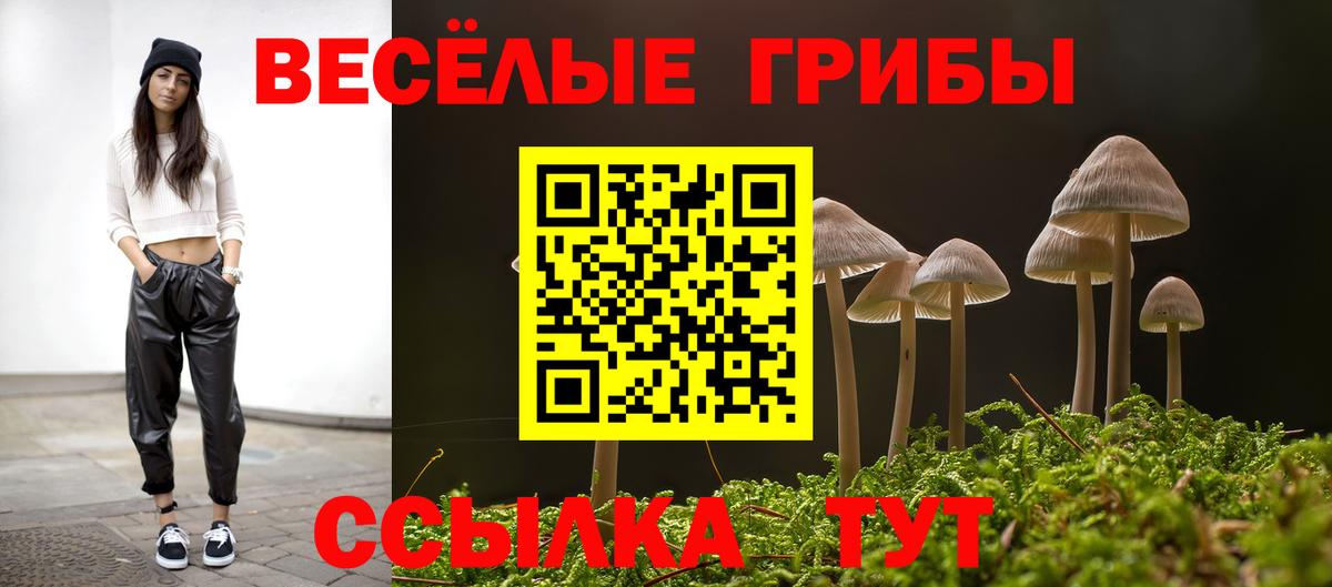 Псилоцибиновые грибы MAGIC MUSHROOMS Избербаш